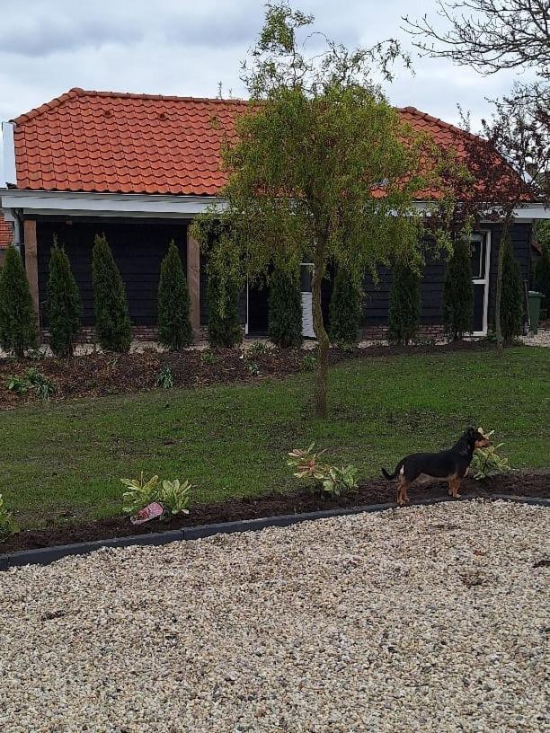 Gastenhuis Amstelmeerzicht. Westerland Kültér fotó